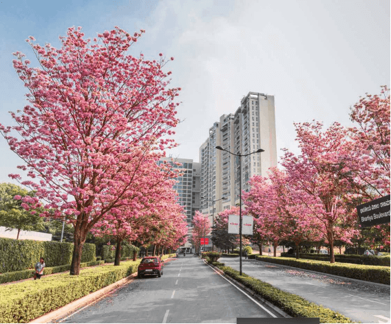 Bhartiya City Nikoo Homes, Nikoo Homes Sadahalli, Bhartiya City Bangalore, apartments near Bangalore Airport, luxury flats Sadahalli Bangalore, Nikoo Homes price, Bhartiya City North Bangalore